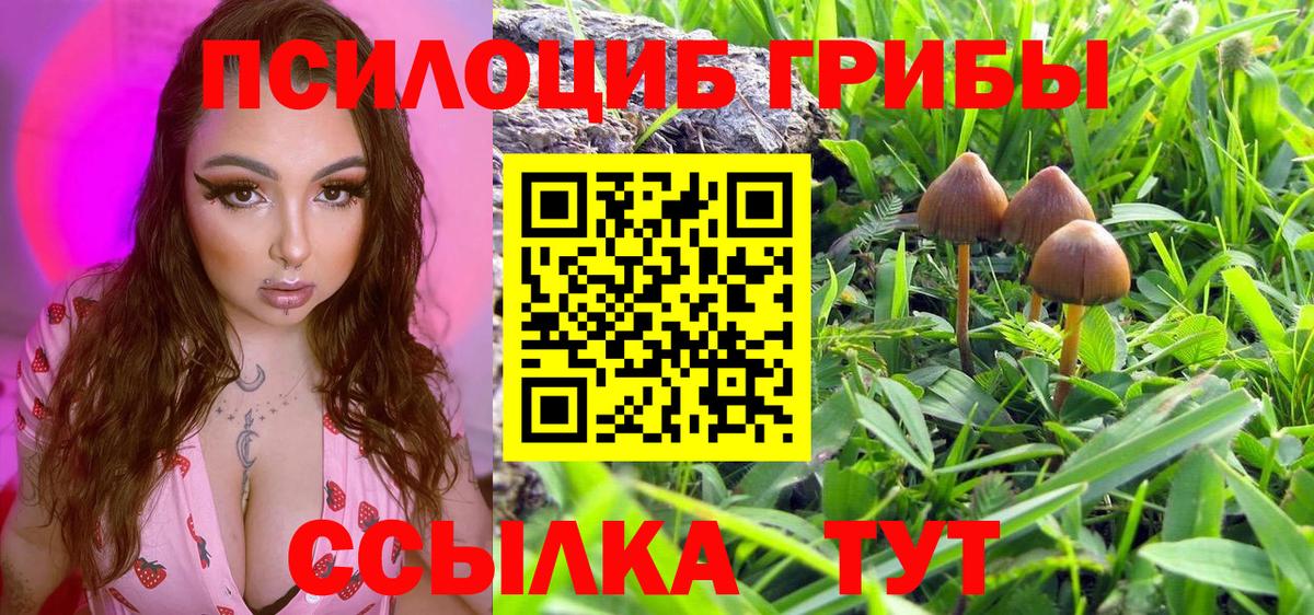 Галлюциногенные грибы Magic Shrooms Миллерово