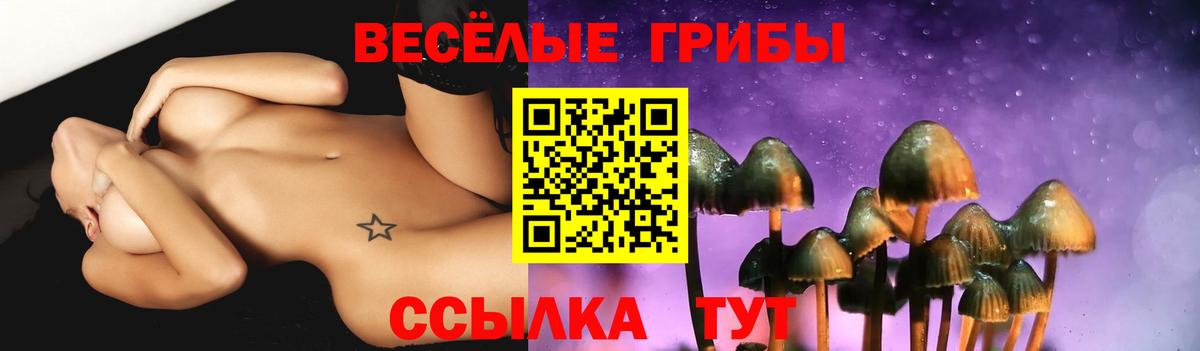 Псилоцибиновые грибы прущие грибы  Вход с VPN  Псилоцибиновые грибы GOLDEN TEACHER  продажа наркотиков  Миллерово 